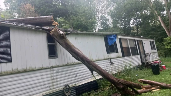 Help Randy Rebuild After Tree Damage campaign photo, 1 of 6