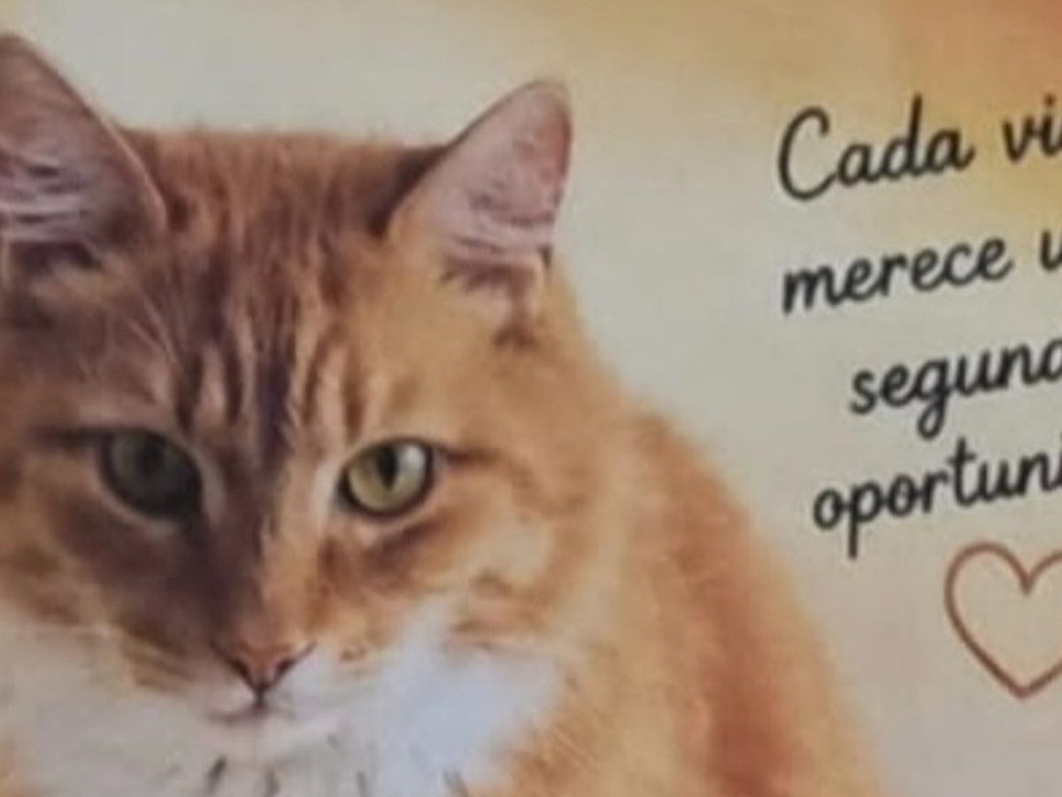 Fundraiser’s main image