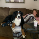 Profile photo of Lisa Ventola
