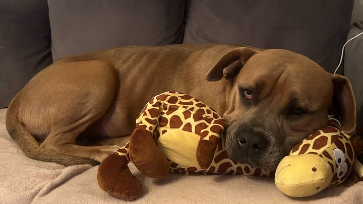 Main fundraiser photo