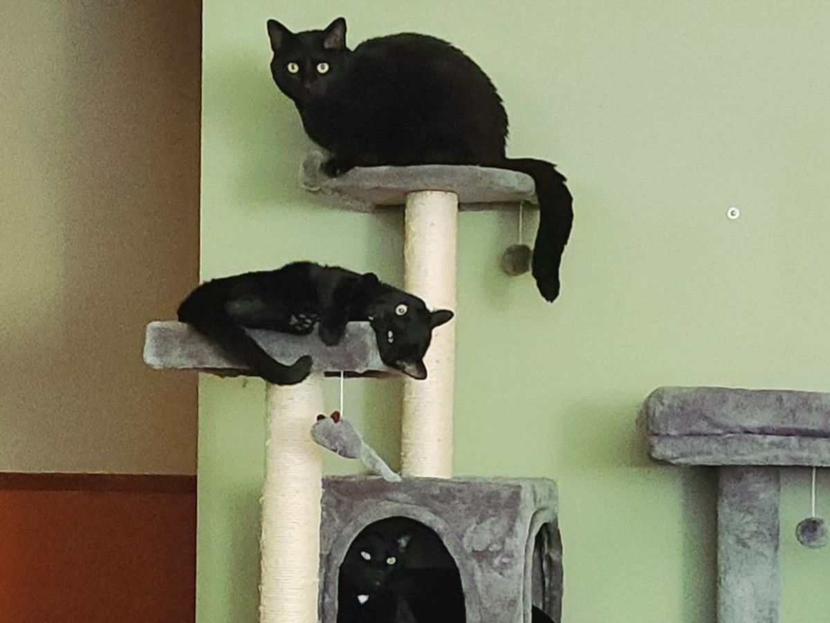Help Melissa and Mike Keep Their Home campaign photo, 1 of 3
