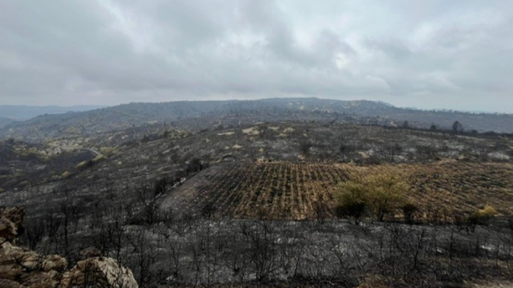 Help Rebuild Dom. des Deux Clés After Devastating Wildfire campaign photo, 1 of 8