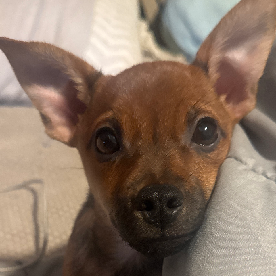 Help Hailee Get the Care She Needs