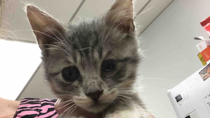 Main fundraiser photo