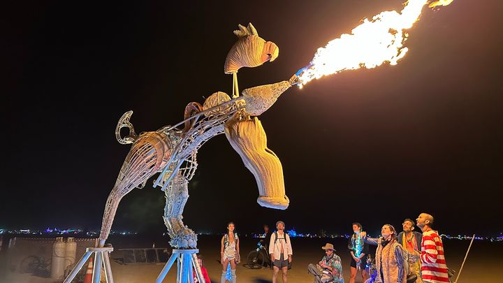 Navagunjara Returns: A Dragon Rises at Burning Man 2026 campaign photo, 1 of 3