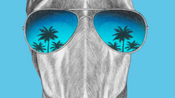 Sunnies for Skye campaign photo, 1 of 6