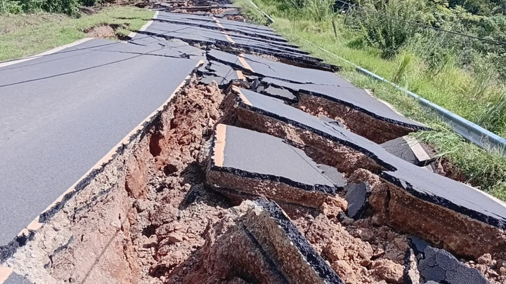 Guanico needs our help