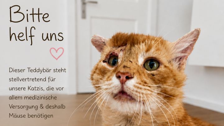 Kampagnen-Foto für Uns gehen die Mäuse aus, 1 von 8