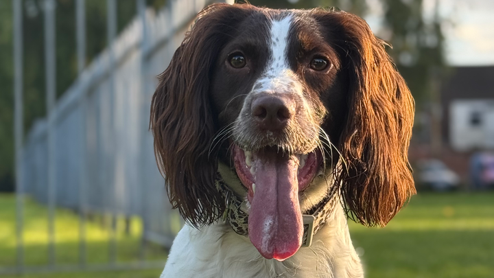 Tilly campaign photo, 1 of 8