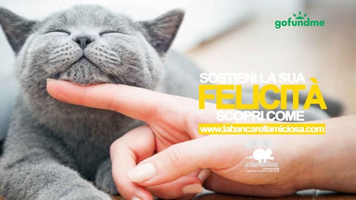 SOSTIENI LA SUA FELICITÀ campaign photo, 1 of 3