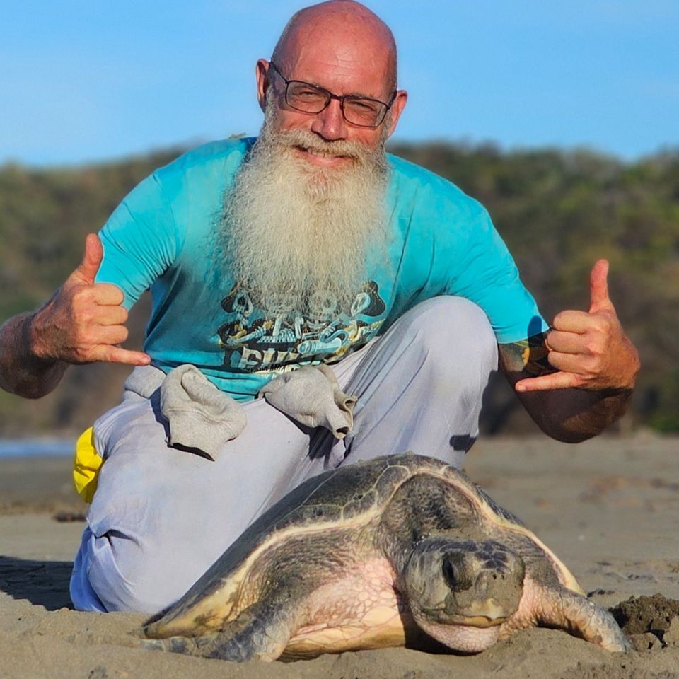 Help Expand Our Turtle Rescue Project