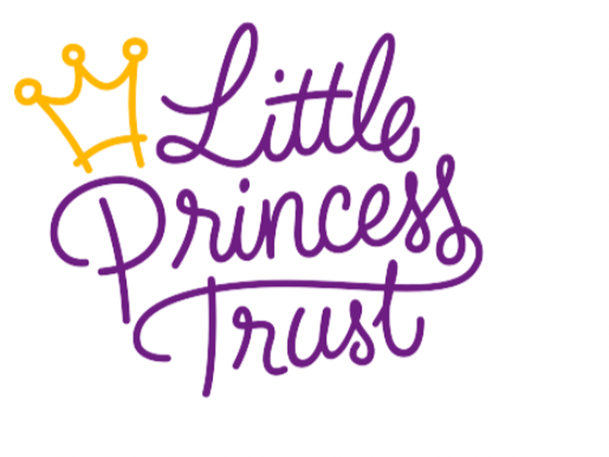 Please help me raise money for a little princess campaign photo, 1 of 2