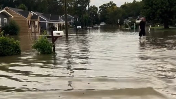 Bounce Back After Flood Loss For Us and Pets campaign photo, 1 of 4