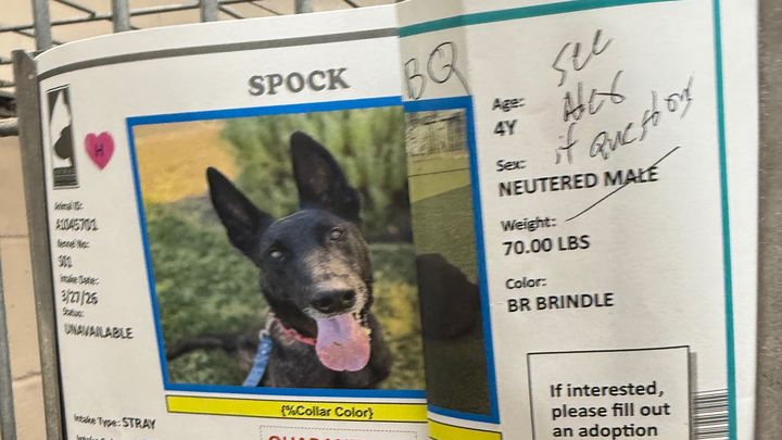 Help Save Spock: Urgent Transport to Rescue campaign photo, 1 of 3