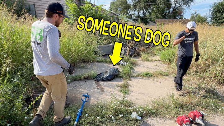 Support Wichita Animal Action League — Help Us Prevent This