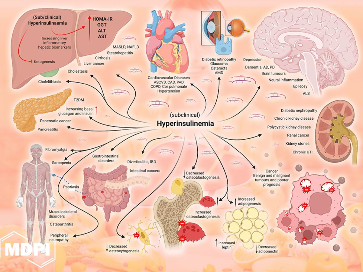 Cancer and Metabolic Health Research campaign photo, 1 of 3