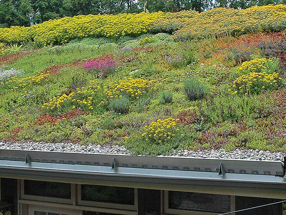 Hauptbild des Spendenaufrufs