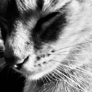 Winston H.