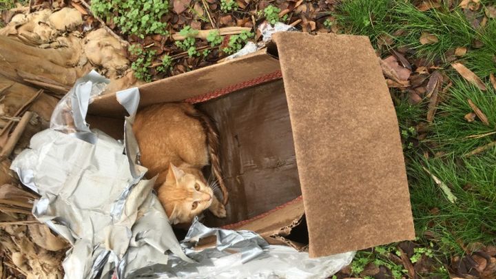 Main fundraiser photo