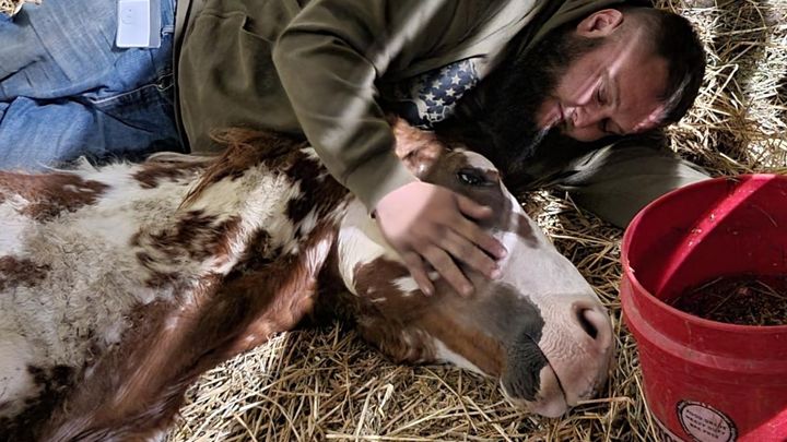 Help save Abused and neglected animals campaign photo, 1 of 2