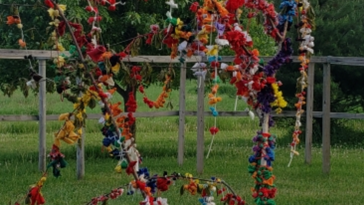 Hauptbild des Spendenaufrufs