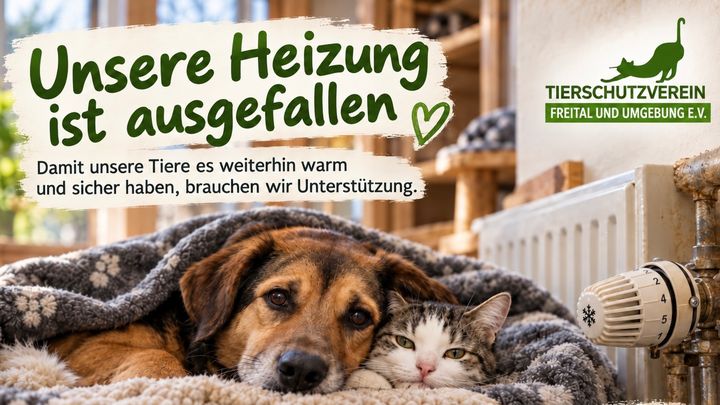 Heizungsausfall im Tierschutzverein Freital–bitte helft uns! campaign photo, 1 of 2