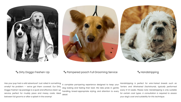 Pretty Pepper Paws – A Birthday Gift for Steph! campaign photo, 1 of 6