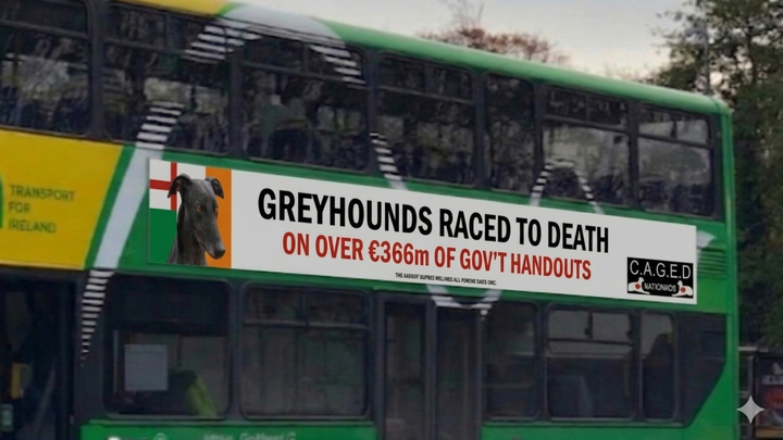 End Cruel Greyhound Racing campaign photo, 1 of 8