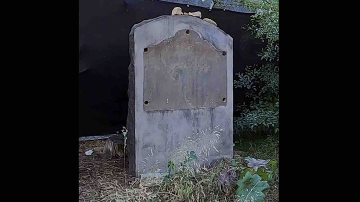 Restore LA's First Jewish Site - Eagle Scout campaign photo, 1 of 7