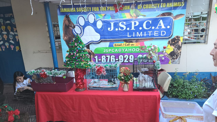 Main fundraiser photo