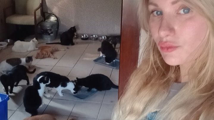 Michelle's rescue kitties campaign photo, 1 of 3