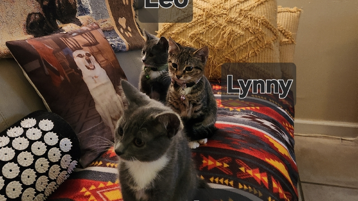 Please help to keep us in our home campaign photo, 1 of 5