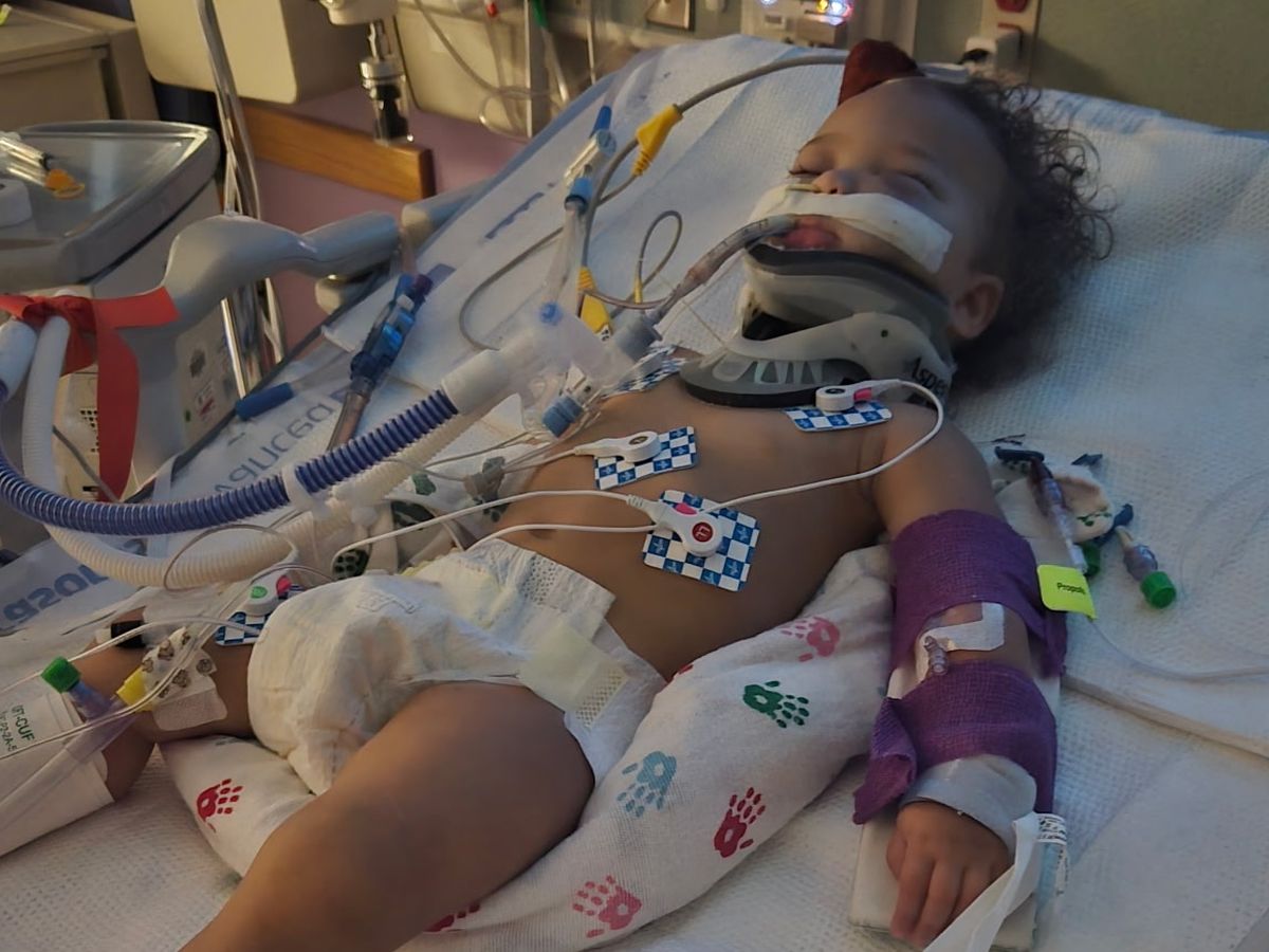 Help Scarlett & Ember Recover After Accident campaign photo, 1 of 6