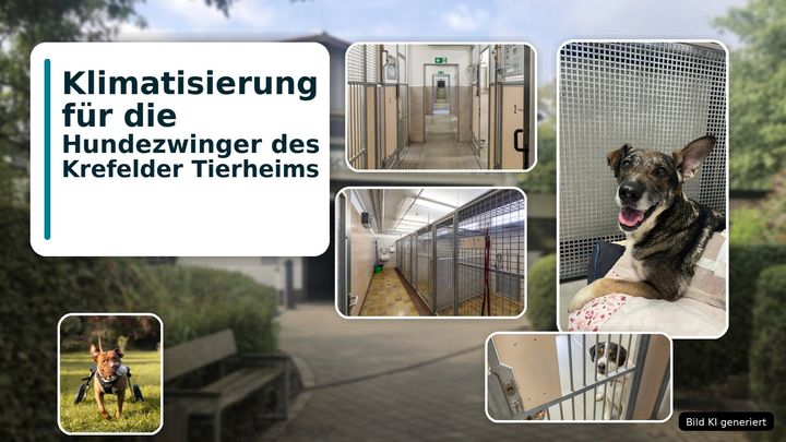 Klimatisierung für die Hundezwinger des Krefelder Tierheims campaign photo, 1 of 3