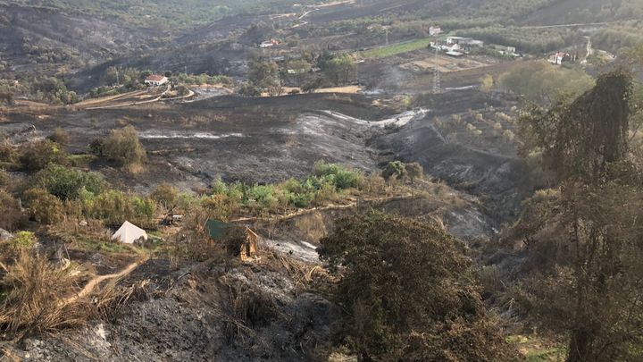 Foto principal de la recaudación de fondos