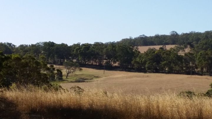 Help Me Save My Farm — Then Pay It Forward campaign photo, 1 of 4