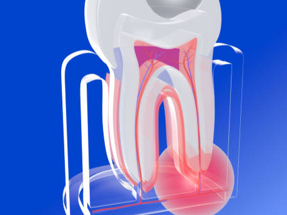 Fundraiser’s main image