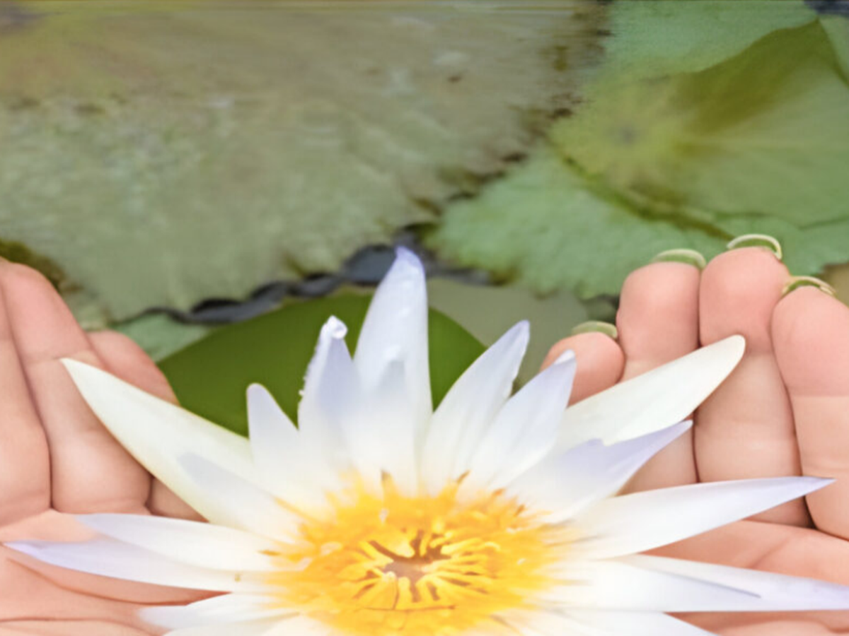 Fundraiser’s main image