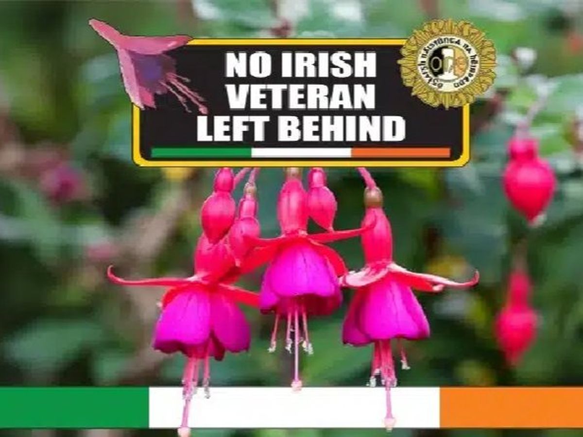 Fundraiser’s main image