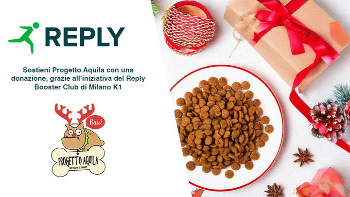Collaborazione Reply per Progetto Aquila campaign photo, 1 of 2