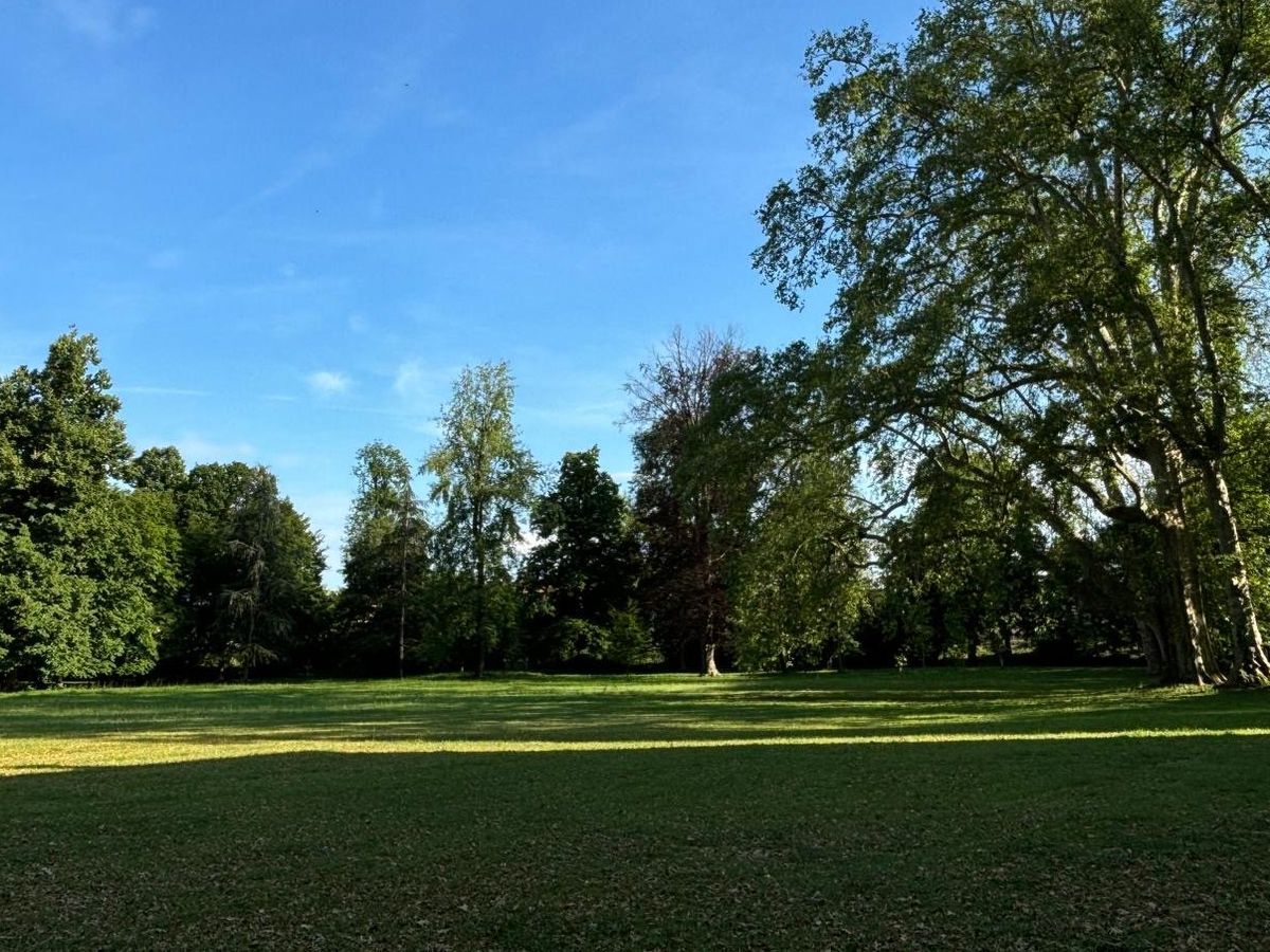 Foto della campagna Il Parco Cavour di Santena ha bisogno di Noi!, 1 di 7