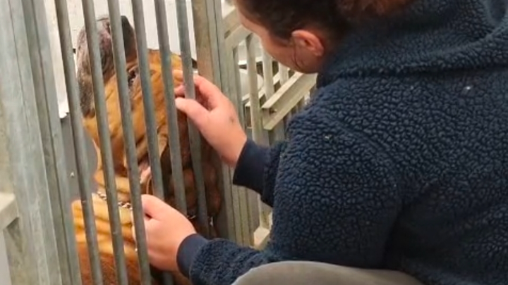 Help Teddy aan een eerlijke kans campaign photo, 1 of 2