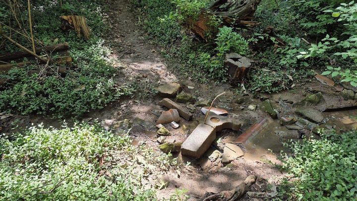 Ruth Park Bridge Development Eagle Scout Project campaign photo, 1 of 5