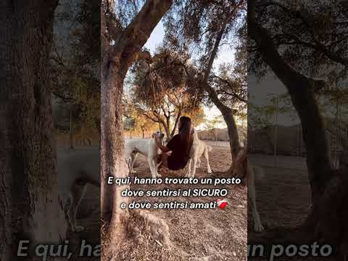 Hoofdafbeelding van de inzamelingsactie