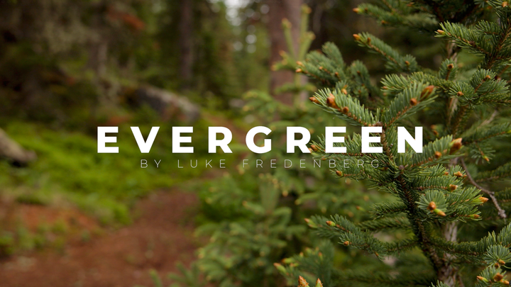 EVERGREEN: A Teenage Boy's Journey to Stand with Israel campaign photo, 1 of 7
