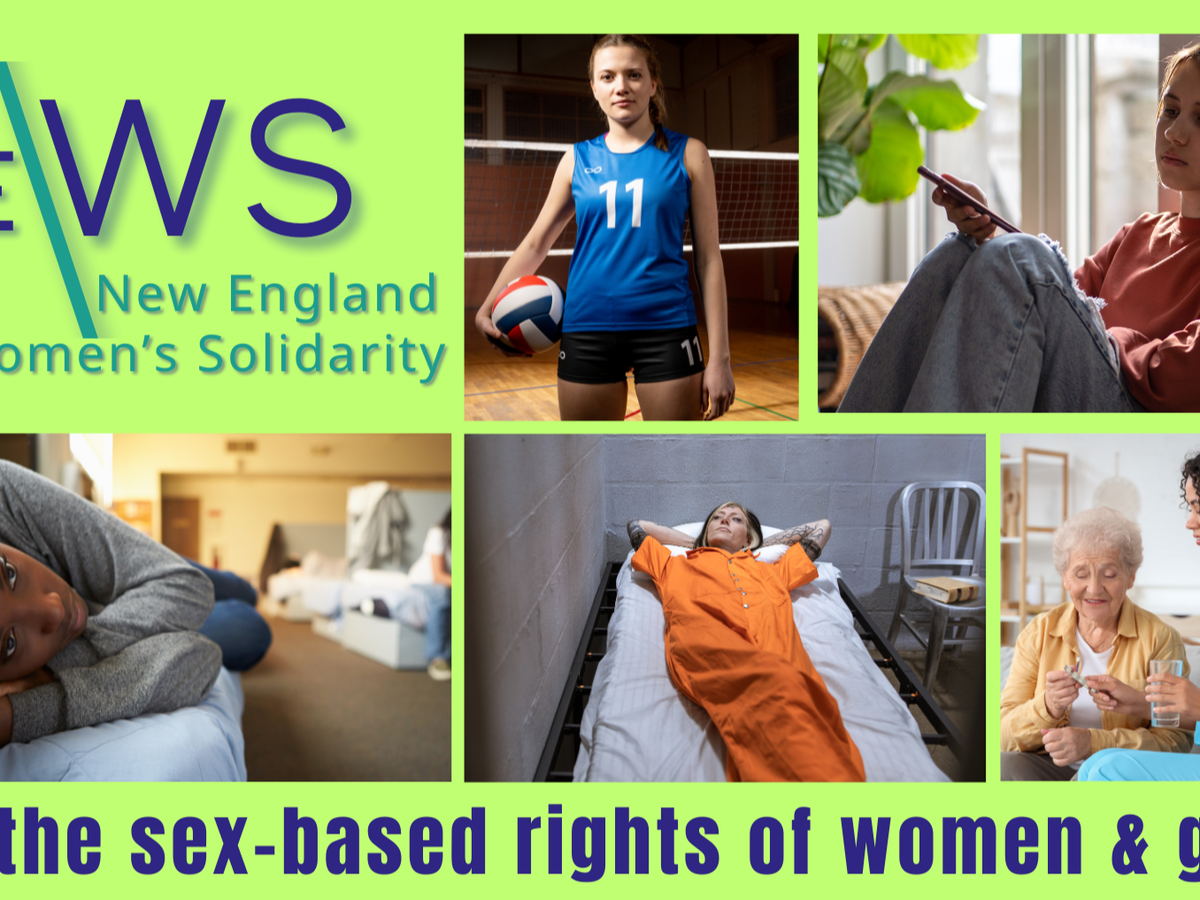 Help Us Protect Women's Rights in New England campaign photo, 1 of 3