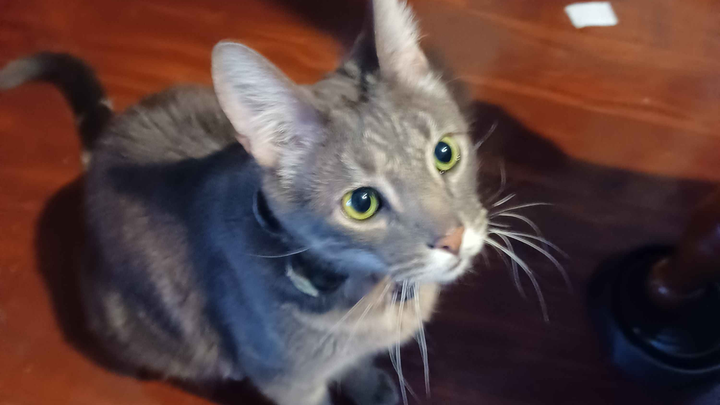 Help Hunter Get the Medical Care He Needs campaign photo, 1 of 5