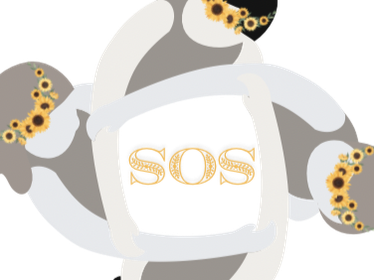 Fundraiser’s main image