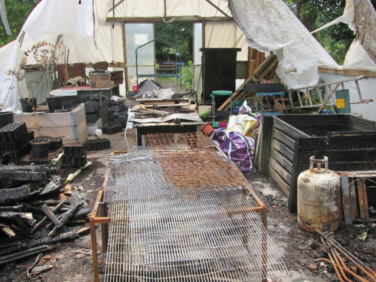 Fundraiser’s main image