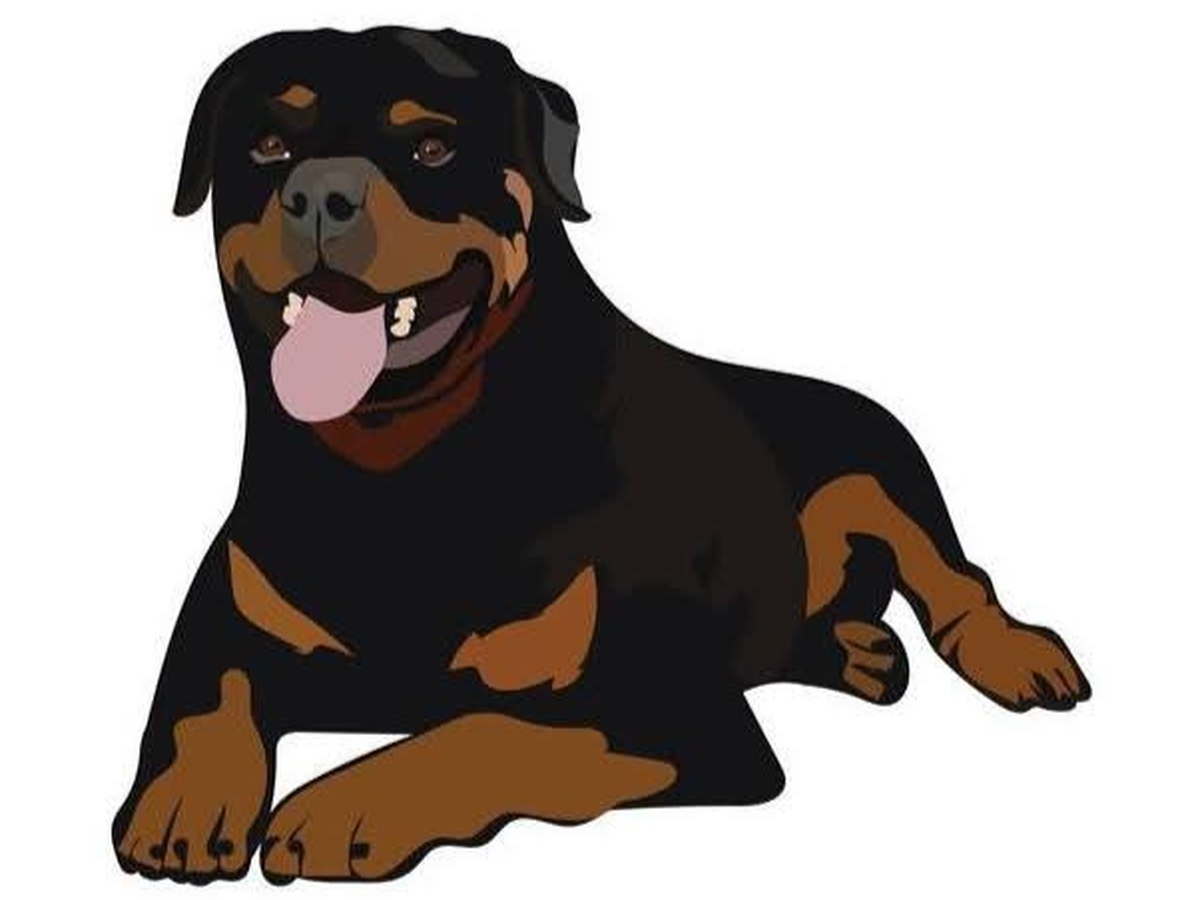 Fundraiser’s main image